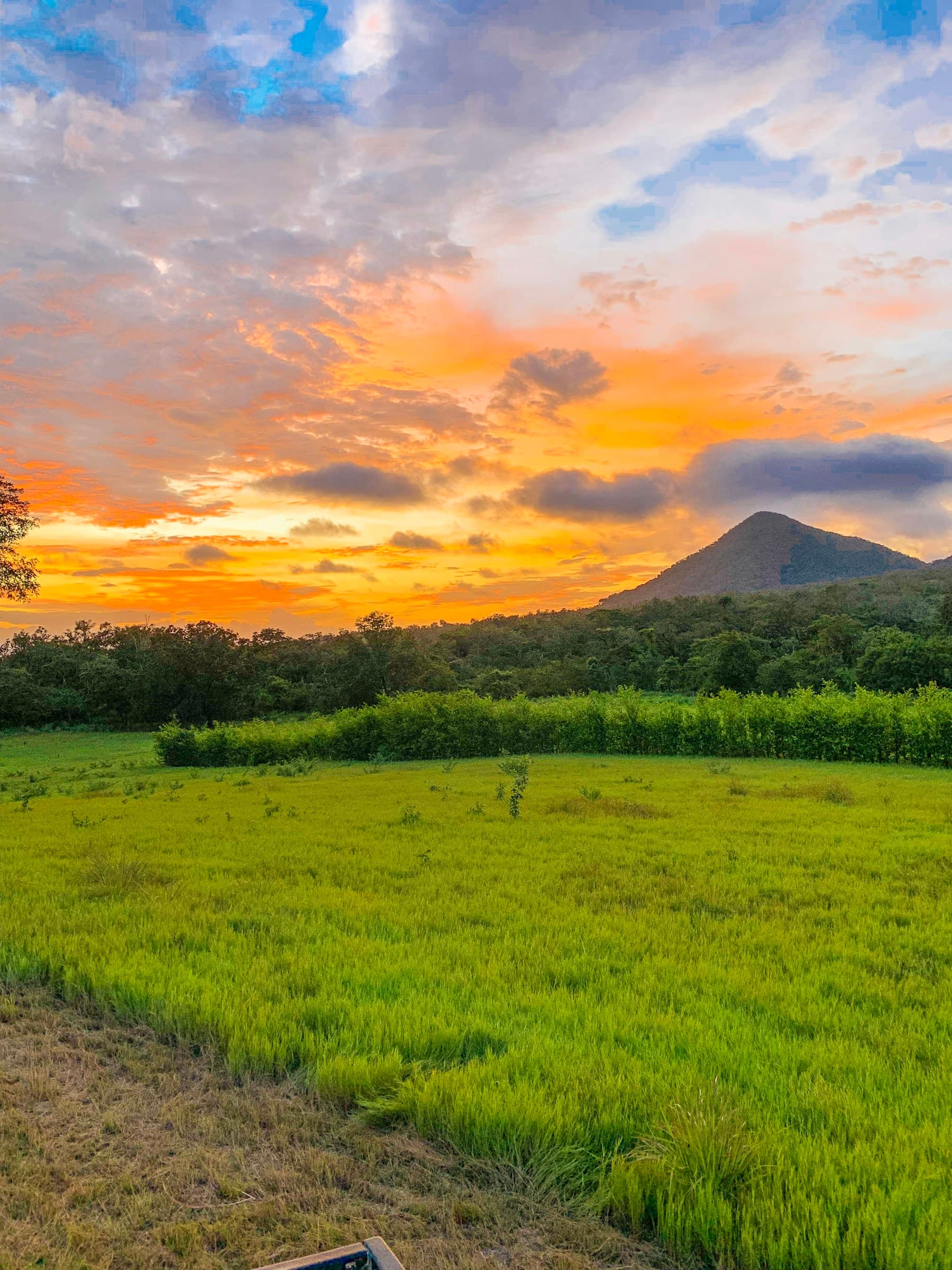 Green landscape near a Costa Rican volcano at sunset